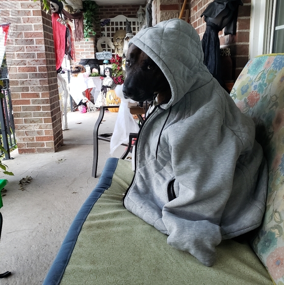 Meet your Posher, Tracy - Picture 2 of 2